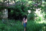 Daija: Hiding in the Woods 3